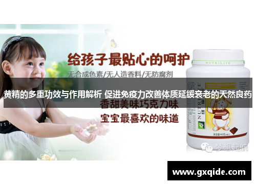 黄精的多重功效与作用解析 促进免疫力改善体质延缓衰老的天然良药