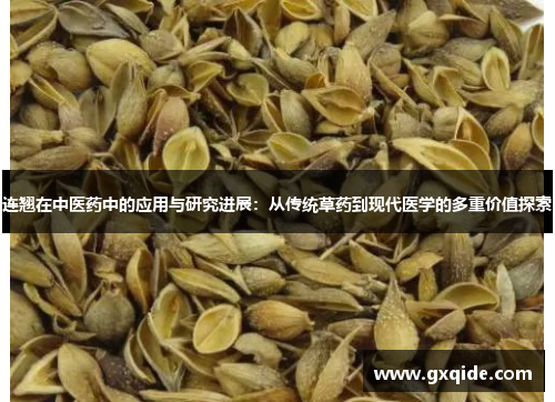 连翘在中医药中的应用与研究进展：从传统草药到现代医学的多重价值探索