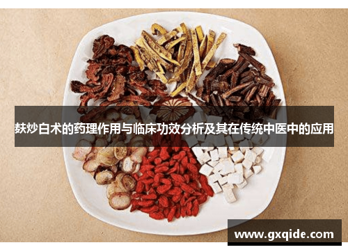 麸炒白术的药理作用与临床功效分析及其在传统中医中的应用